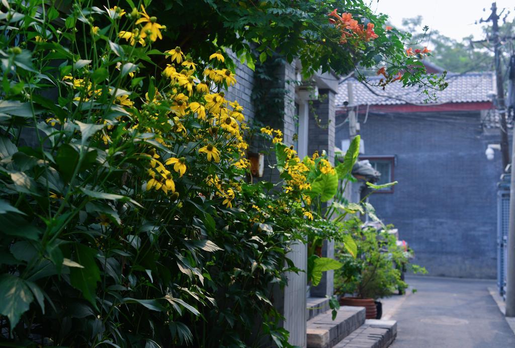 Peking Garden Boutique Hotel Exterior photo