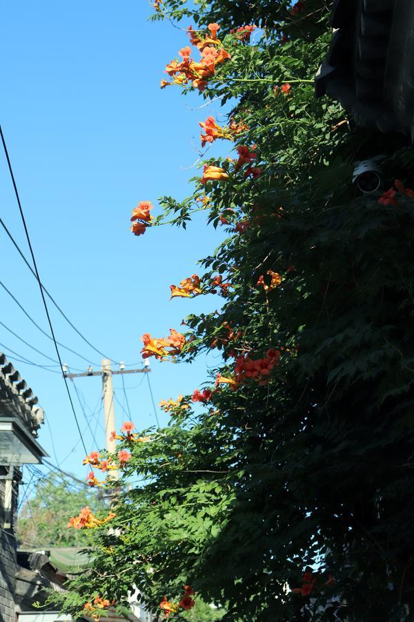 Peking Garden Boutique Hotel Exterior photo